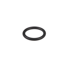 O-Ring (84407033) Case
