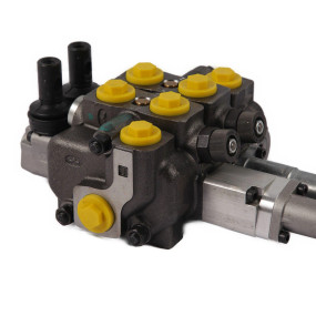 Valve, Remote Contro (84412735) Case