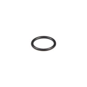 O-Ring (84432615) Case