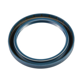 Dichtung (84510062) Case