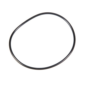 O-Ring (84559949) Case