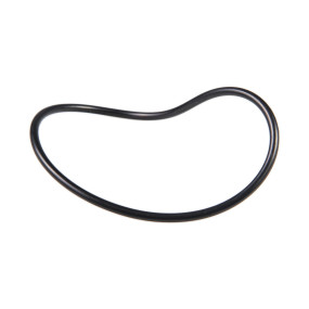 O-Ring (84559951) Case