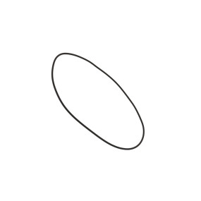 O-Ring (85808262) Case