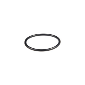 O-Ring (86583917) Case