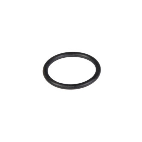 O-Ring (87304653) Case