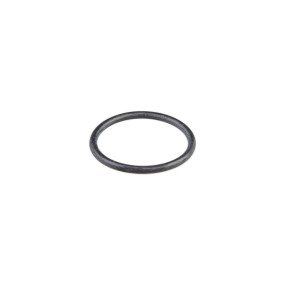 O-Ring (87304661) Case