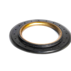 Dichtung (87324547) Case