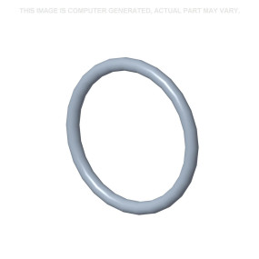 O-Ring (87332790)  Case