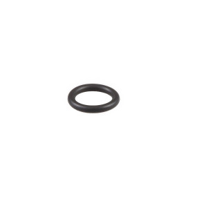 O-Ring (87341228) Case