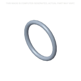 O-Ring (87343417)  Case