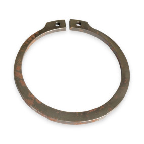 Ring (87496675) Case