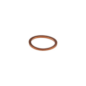Ring (87550036) Case