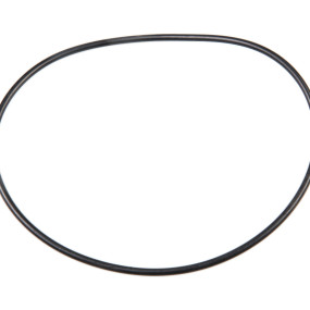 O-Ring (87629041) Case