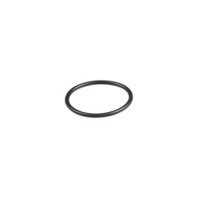 O-Ring (87635978) Case