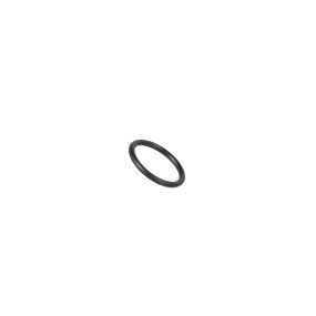 O-Ring (87643573) Case