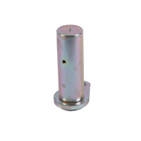 Bolzen (87674623) Case