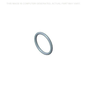 O-Ring (87679174) Case