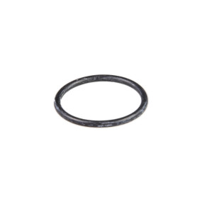 O-Ring (87706932) Case