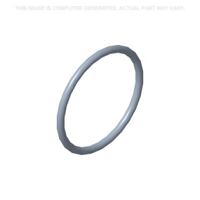 O-Ring (87713415) Case