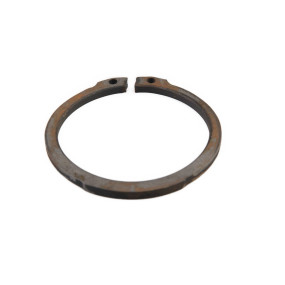 Sicherungsring (87756449) Case