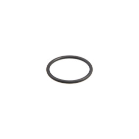 O-Ring (87802128) Case
