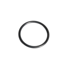 O-Ring (Sba052100420) Case