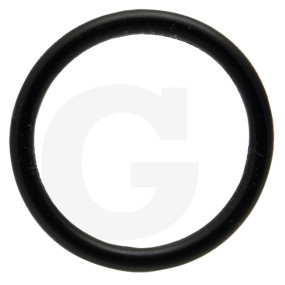 O-Ring (38012580) Granit