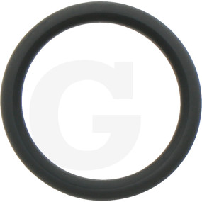 O-Ring (38012583) Granit