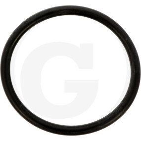 O-Ring (71812151) Granit