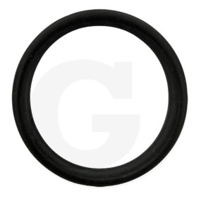 O-Ring (71812341) Granit