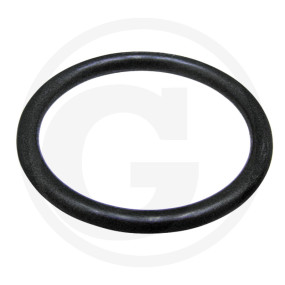 O-Ring (71817039) Granit