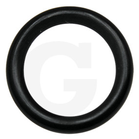 O-Ring 1