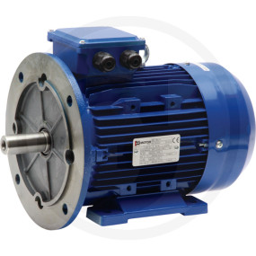 E-Motor 100L-4-B3/5-4/6-3 Kw N (85004056) Granit