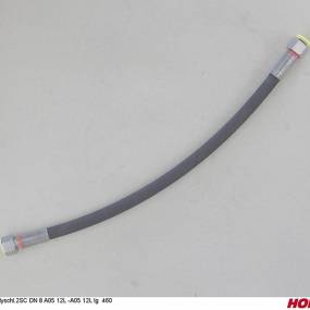 Hs Dn08 2Sc Dkol12 Dkol12  L (00120617) Horsch