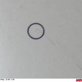 O-Ring   22.00X  2.00 (00260200) Horsch