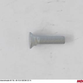 Scharschraube M 10X 40-10.9 G (00311085)  Horsch