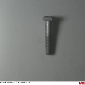 6-Kt Schraube M12X60 12.9 (00360037)  Horsch