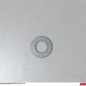 Sperrkantscheibe M16X32.5X2.5 (00370306) Horsch