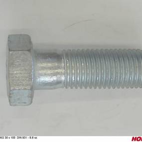 Sks 30 X 100  Din 931  8.8 (00440226) Horsch