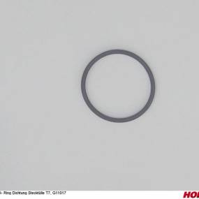 O- Ring Dichtung Stecktülle T7 (04006814) Horsch