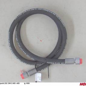 Hs Dn12 2Sc Dkol15 Dkol15  L 1 (00120431) Horsch