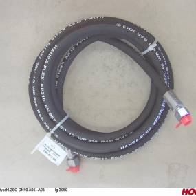 Hs Dn10 2Sc Dkol12 Dkol12  L 3 (00120602) Horsch