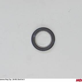 Gamma Ring Typ  29-Rb 30X47X4. (00240074) Horsch