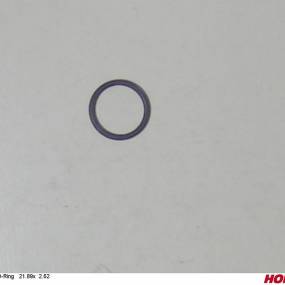 O-Ring   21.89X  2.62 (00110828) Horsch