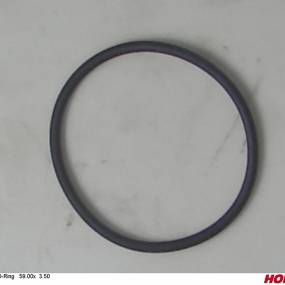 O-Ring ?58,7X3,5 2 (00270629)  Horsch