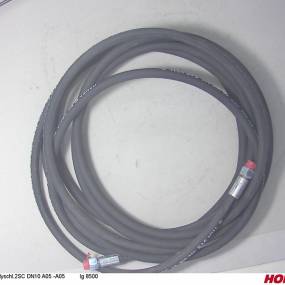 Hs Dn10 2Sc Dkol12 Dkol12  L 8 (00120485) Horsch