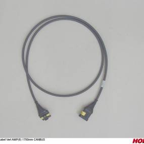 -Kabel Verl Amp(6) 1750Mm Canb (00341647)  Horsch