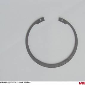 Sicherungsring 100 I Nfe22-165 (00385310) Horsch