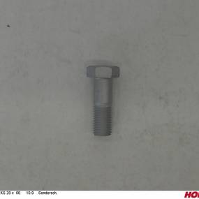 Sks 20 X  60     10.9    Sonde (00360511) Horsch