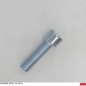 Zyl.innen6Kt. M 20 X  70  8.8 (00370387) Horsch